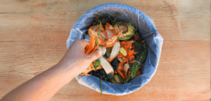 Townsville Residents Can Dispose of Green and Food Waste for Free