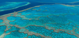 Innovative Solutions Emerge in Townsville to Save the Great Barrier Reef