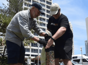 No More Butts collection at Surfers Paradise